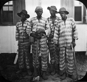 Convicts_Leased_to_Harvest_Timber